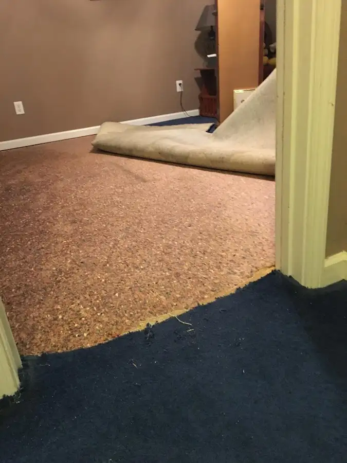 Carpet pad removal revealing water damage during Water Mitigation Services in Ferndale