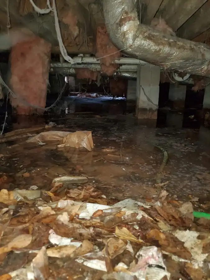 Crawl space flood assessment for Commercial Water Damage Restoration in Ferndale
