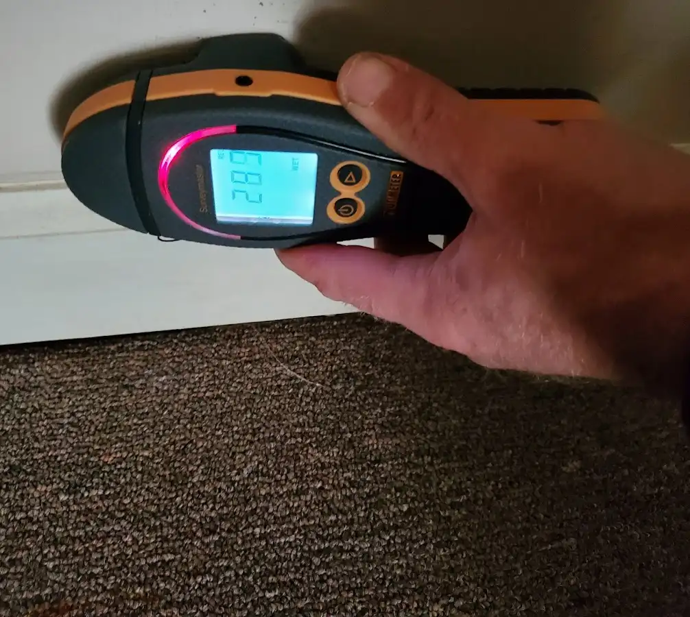 Moisture detection at baseboard during Mold Inspection & Testing in Ferndale