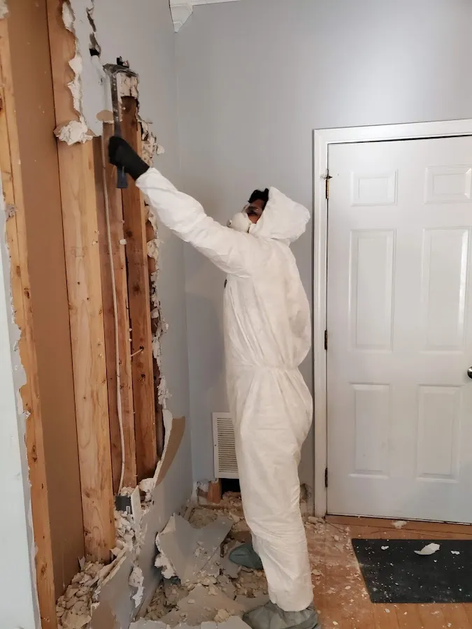 Commercial Water Damage Restoration in Ferndale, MD
